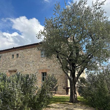 לינה וארוחת בוקר מונטונה Borgo Cardaneto מראה חיצוני תמונה