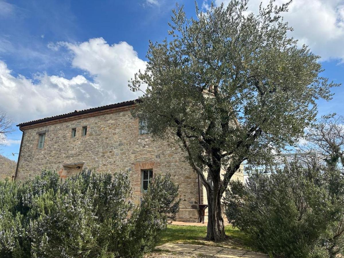 לינה וארוחת בוקר מונטונה Borgo Cardaneto מראה חיצוני תמונה