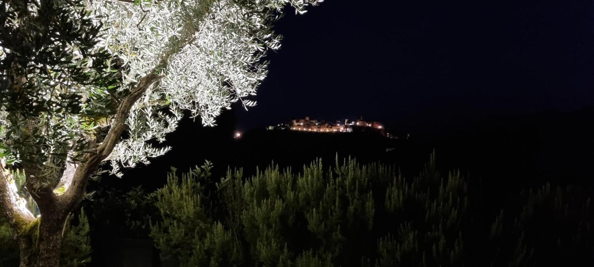 לינה וארוחת בוקר מונטונה Borgo Cardaneto מראה חיצוני תמונה
